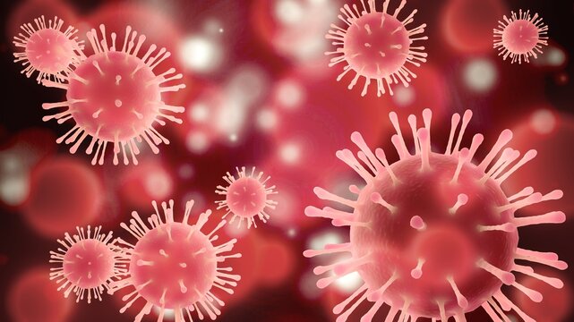 Arenaviruses infect rodents and humans. Red cell