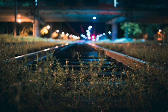 Moody Low Angle View of Overgrown Railway Tracks at Night - Powered by Adobe