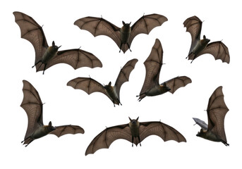 Naklejka premium A collection of bats in flight against a Transparent background, showcasing diverse angles and wingspans.