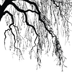 Willow tree bold outline black line art with hanging branches thick strokes clean design 2 © rokeya