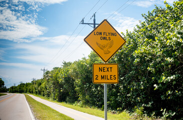 A roadside warning sign to protect Eastern Screech-Owls in Sanibel, Florida