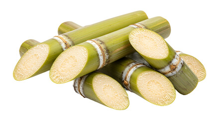 Segments of Natural Sugarcane Stalks Showing Sweet Fibrous Interior © mastyo