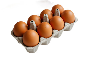 Ten Fresh Brown Eggs Neatly Displayed in a Pulp Egg Carton