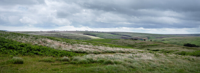 grassy hills and valleys in exmoor national park