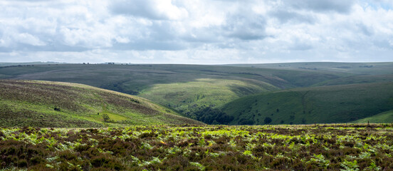 hills and valleys in exmoor national park
