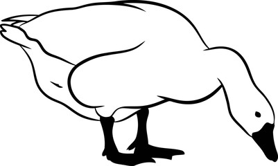 Fototapeta premium goose silhouette a serene of tranquil farm life, isolated on transparent background