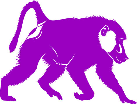 majestic baboon silhouette a of purple power, african savanna icon, isolated on transparent background
