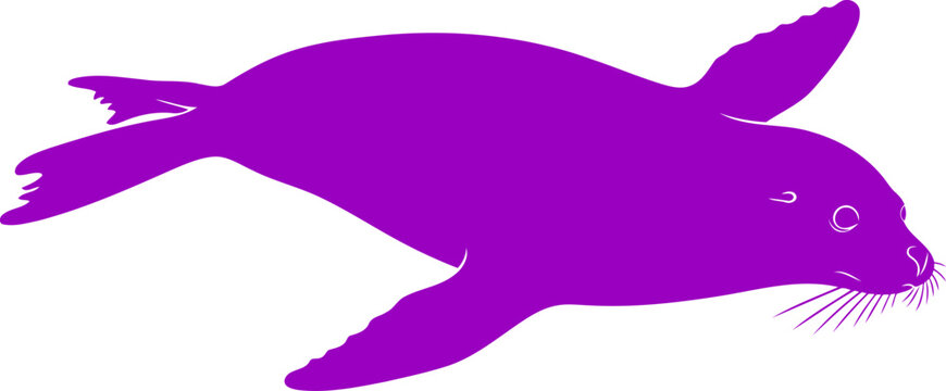 majestic purple seal silhouette graceful underwater glide, ocean art, isolated on transparent background