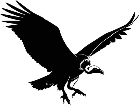 majestic vulture silhouette emblem of wild freedom, powerful flight, and unwavering determination, isolated on transparent background