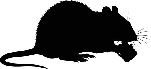 nocturnal rodent silhouette a of shadowy mystery and urban stealth, isolated on transparent background