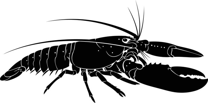 black lobster silhouette on white background clip art preview