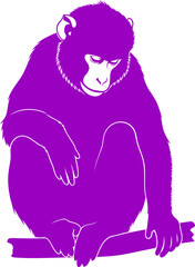 Obraz premium pensive purple monkey silhouette icon of quiet contemplation, introspective primate, and serene jungle wisdom, isolated on transparent background