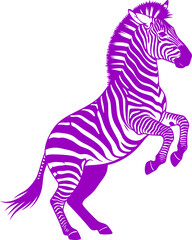 Obraz premium purple zebra silhouette a powerful leap of african freedom, isolated on transparent background
