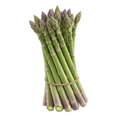 asparagus on white background