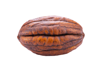 Close-up of a single brown pecan nut with detailed texture on black background