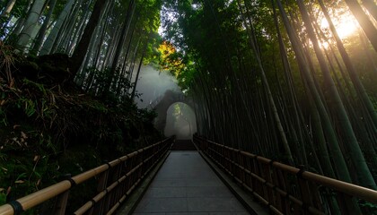 A sunlit path through a dense bamboo forest