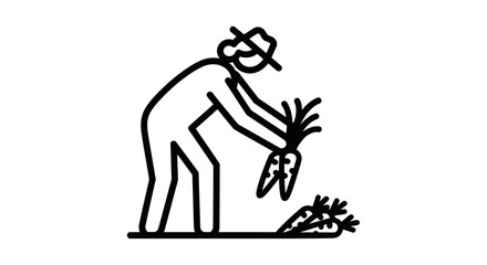 Obraz premium farmer harvesting fresh carrots, agriculture, farming, healthy food, vegetable, garden, organic, 