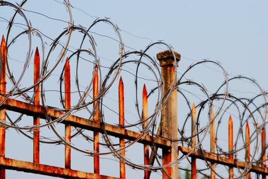 Razor wire on fence