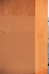 warm sunset light on cement