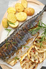 Tasty roasted mackerel with spices and potatoes on grey table, top view. Homemade seafood dish