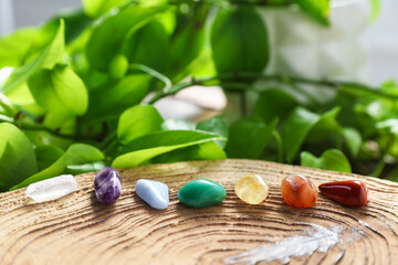 Aura. Different natural mineral stones on stump and green leaves indoors, closeup