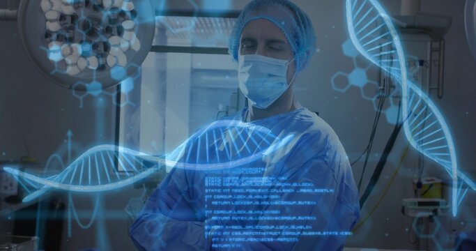 Analyzing male surgeon in scrubs reviewing data in operating room, with holographic DNA projections