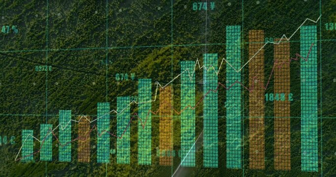Fototapeta Mapping data on forest road from above, with bar chart, line graph, grid and currency labels