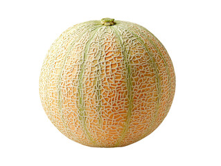 Cantaloupe Melon with Natural Skin Texture Studio Shot on Transparent Background