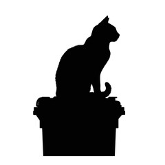 Black cat silhouette sitting on a box isolated on white background silhouette
