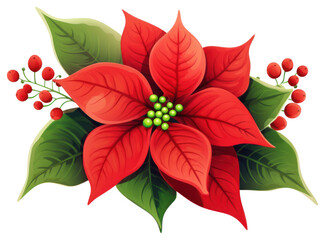 PNG Red and green christmas flower poinsettia leaves leaf.