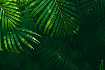 Fototapeta premium Tropical Palm Leaf Arrangement with Rich Green Color
