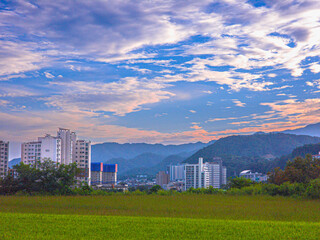 modern building in the city