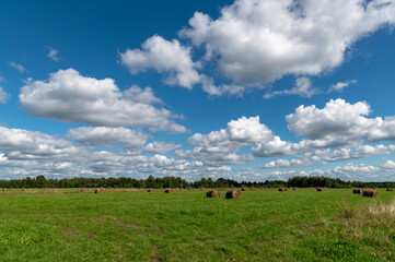 Countryside landscape