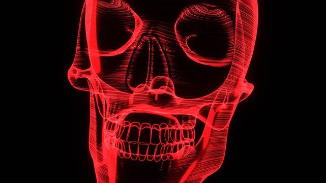 Holographic Skull

A detailed holographic skull rendered with a wireframe effect. Ideal for projects with a futuristic, sci-fi, or ominous theme.