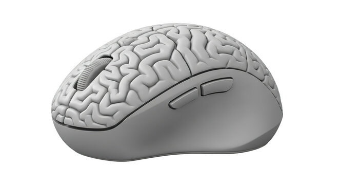 Brain Shaped Computer Mouse Wireless Ergonomic Design