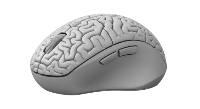 Brain Shaped Computer Mouse Wireless Ergonomic Design