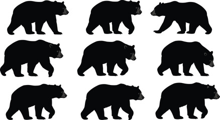 Collection of bear silhouettes and illustrations in various walking poses, black bear design set for wildlife, forest, and nature themes