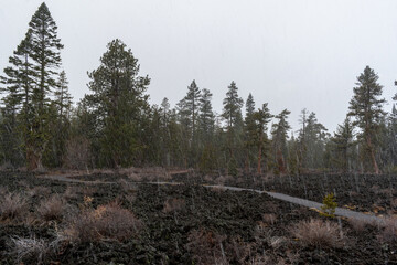 Snowfall Over Lava Cast Forest Trail, Newberry National Volcanic Monument, Oregon, USA