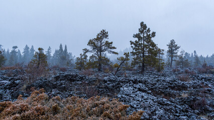 Snowfall Over Lava Cast Forest Trail, Newberry National Volcanic Monument, Oregon, USA