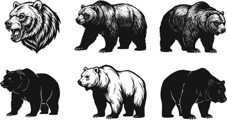 Vector illustration set of roaring bear head, detailed walking bears and strong silhouettes, wildlife predator design for tattoo, logo, mascot