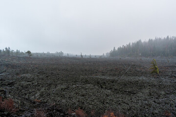 Snowfall Over Lava Cast Forest Trail, Newberry National Volcanic Monument, Oregon, USA
