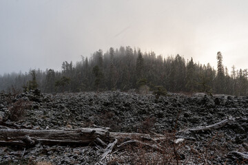 Snowfall Over Lava Cast Forest Trail, Newberry National Volcanic Monument, Oregon, USA