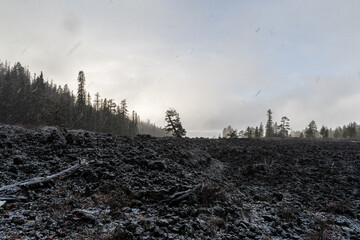 Snowfall Over Lava Cast Forest Trail, Newberry National Volcanic Monument, Oregon, USA