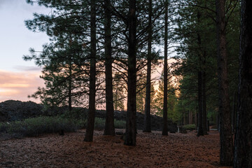 Volcanic Landscape in Autum Light, Newberry National Monument, Oregon, USA