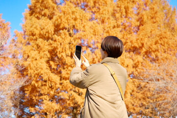 紅葉の写真を撮影する女性　ミドルエイジ　後ろ姿