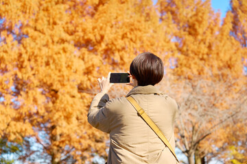 紅葉の写真を撮影する女性　ミドルエイジ