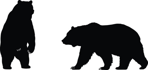 Silhouette of standing bear and walking bear isolated on white background, wild animal vector illustration for nature, wildlife and forest design