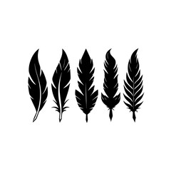 Fototapeta premium 5 different phoenix feather ornament silhouette ve