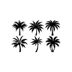 Obraz premium 6 different tropical palm ornament silhouette vect