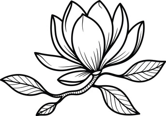 Black and White Magnolia Flower Illustration